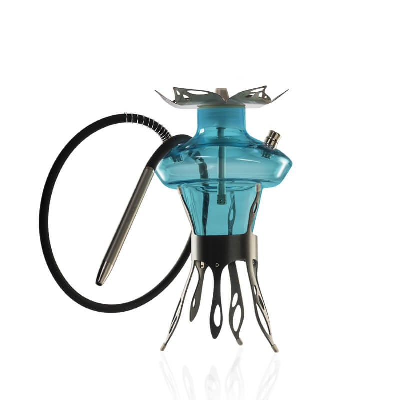 Cachimba Meduse Seabloom