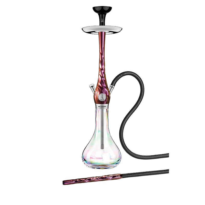 [231104] Cachimba Wookah Chameleon