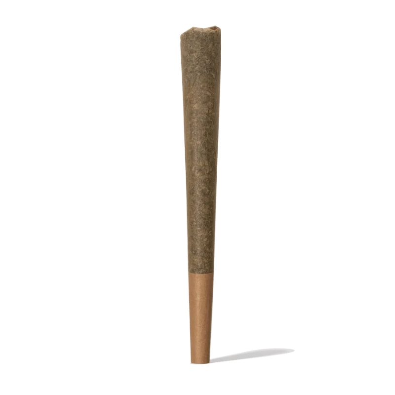 Pre Roll Iguana 1gr