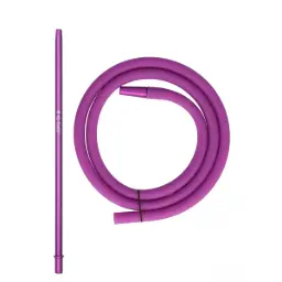 Violeta