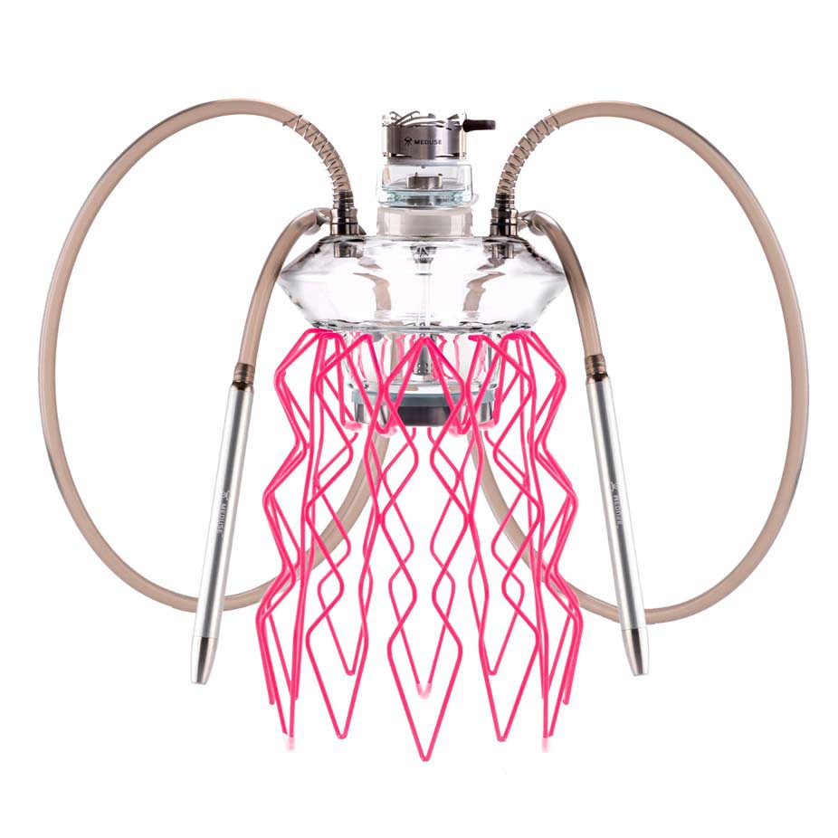 Cachimba Meduse Nautile Aurita