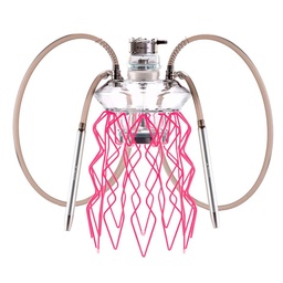 Rosa Neon