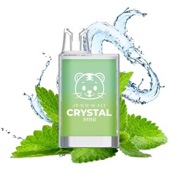 Fresh Mint
