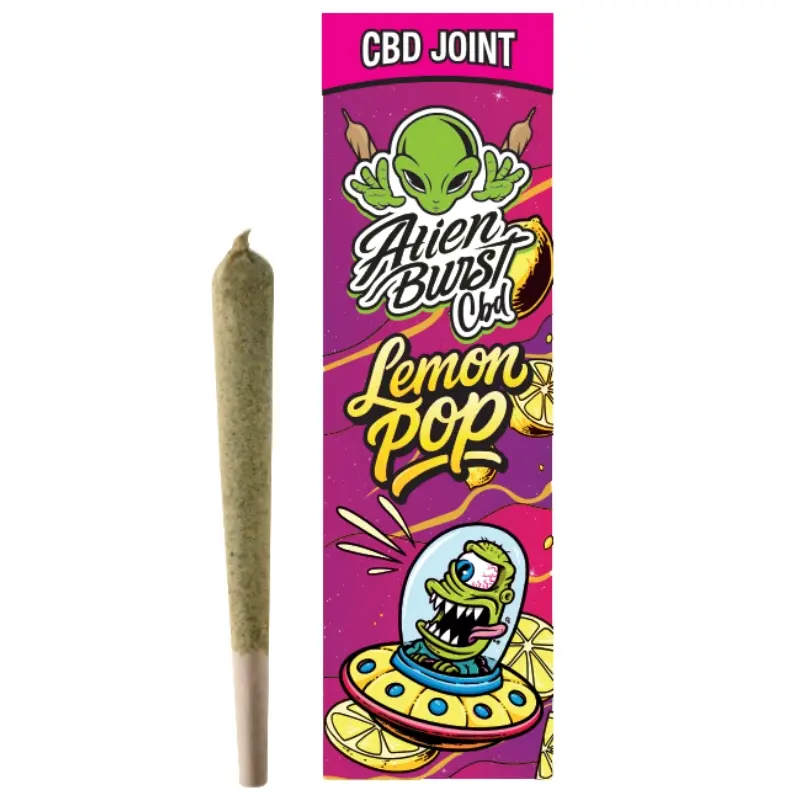 [252810-1] Blunt Alien Brust (Amnesia)