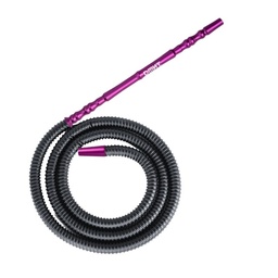 Morado