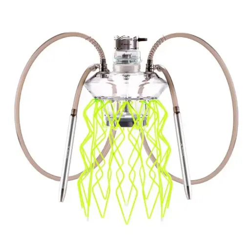 Cachimba Meduse Nautile Aurita