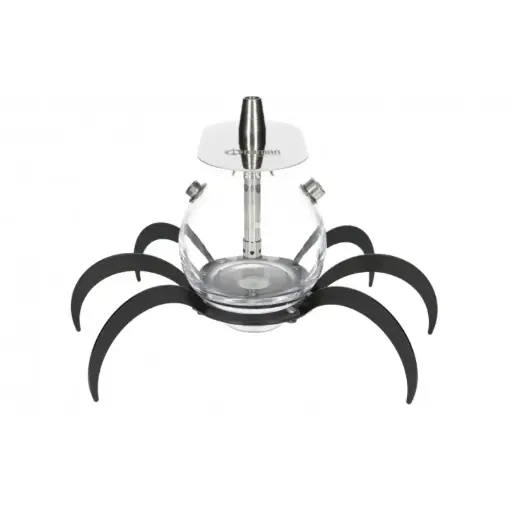 [252599] Cachimba Oduman Tarantula