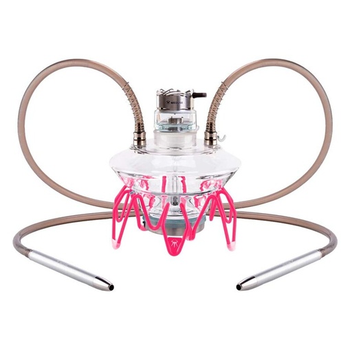 Cachimba Meduse Nautila Krab